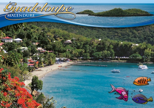 [64136] CP 10X15 GP G285