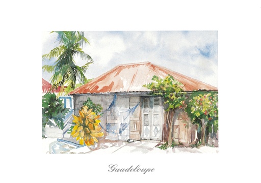 [64149] CP 10X15 GP AC11