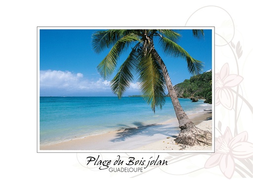 [64161] CP 10X15 GP BG2