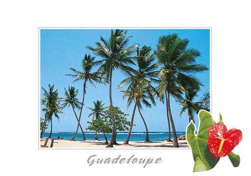 [64166] CP 10X15 GP BG10