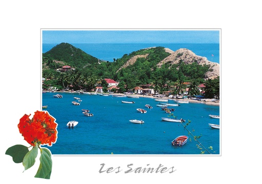 [64168] CP 10X15 GP BG12