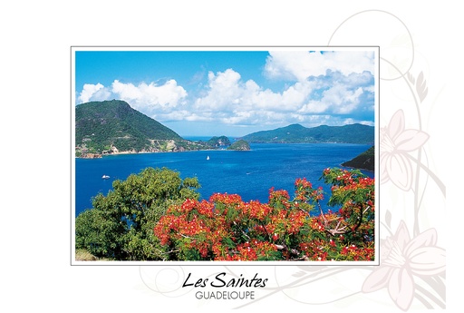 [64170] CP 10X15 GP BG14