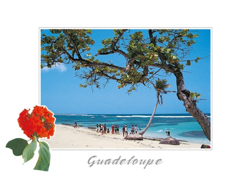 [64171] CP 10X15 GP BG15