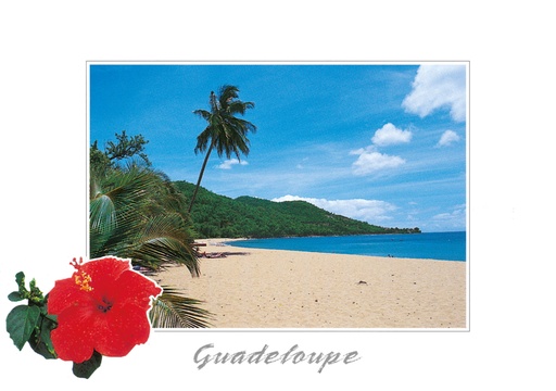 [64173] CP 10X15 GP BG17