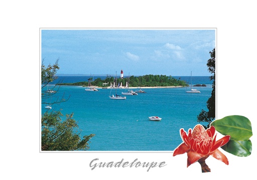 [64175] CP 10X15 GP BG19