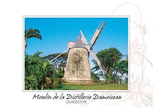 [64177] CP 10X15 GP BG21