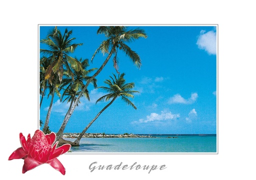 [64181] CP 10X15 GP BG26