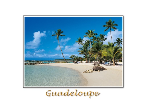 [64190] CP 10X15 GP BG36