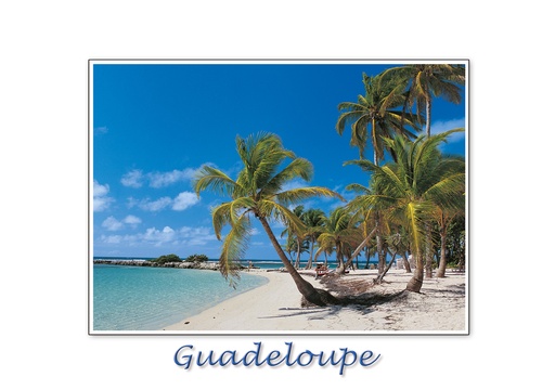 [64191] CP 10X15 GP BG37