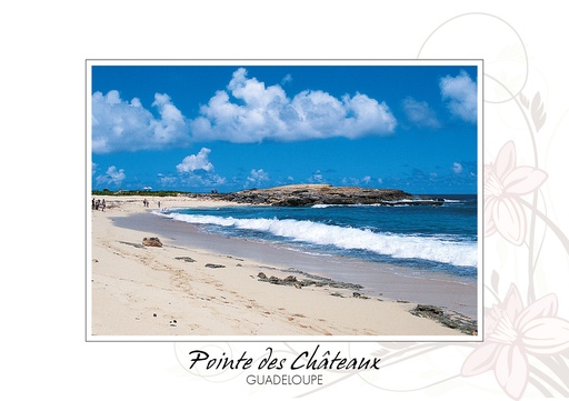 [64193] CP 10X15 GP BG39