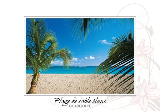 [64195] CP 10X15 GP BG41