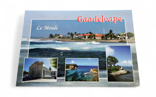 [64215] CP 10X15 GP LP107
