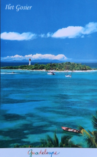 [64223] CP 10X15 GP LP686