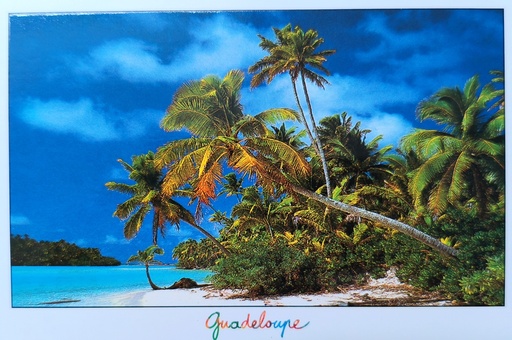 [64224] CP 10X15 GP LP735