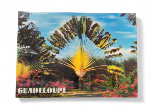 [64282] CP 12 X 17 GP 3D ARBRE du voyage G3D03