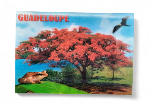[64283] CP 12 X 17 GP 3D Flamboyant G3D05