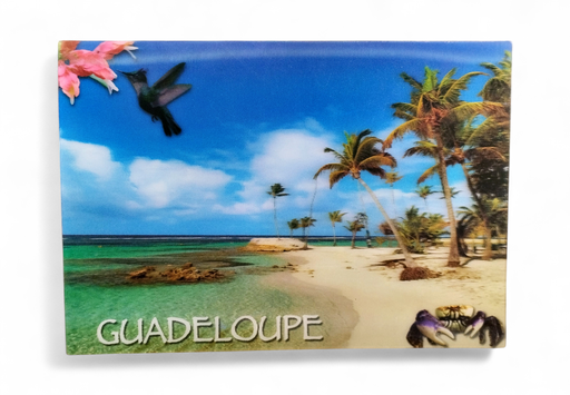 [64291] CP 12 X 17 GP 3D PLAGE de ste-Anne G3D14