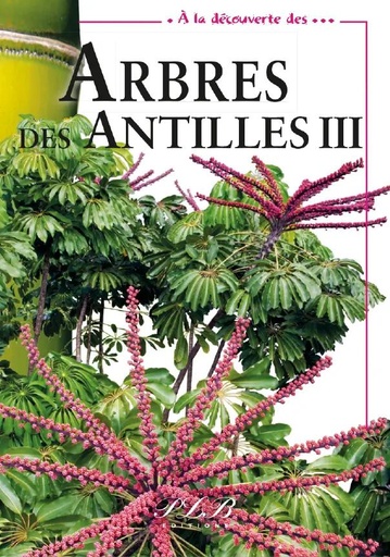 [66002] Arbres Des Antilles Tome 3