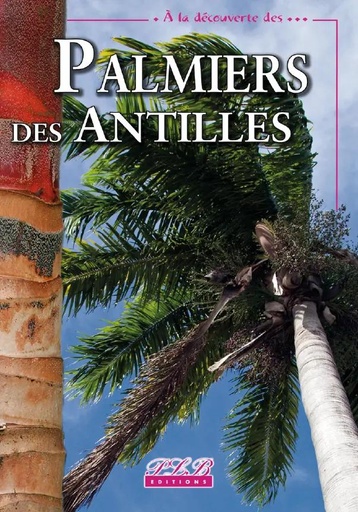 [66007] Palmiers Des Antilles