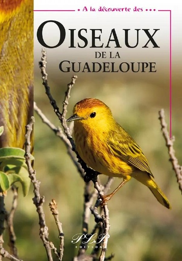 [66048] Ald Oiseaux De Guadeloupe