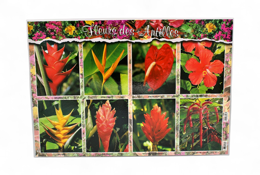 [68010] Set de Table GP Allee Dumanoir / Fleurs STG39