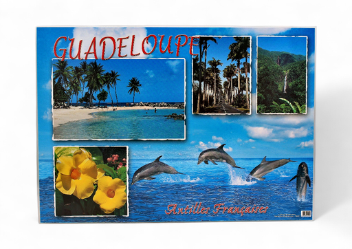 [68013] Set de Table GP Plage Cocotiers / Dauphin + 4 Photos STG43