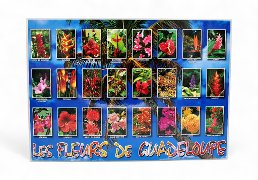 [68015] Set de Table GP Fleurs De Guadeloupe / Plages STG45