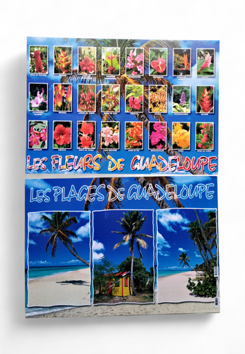 [68015] Set de Table GP Fleurs De Guadeloupe / Plages STG45