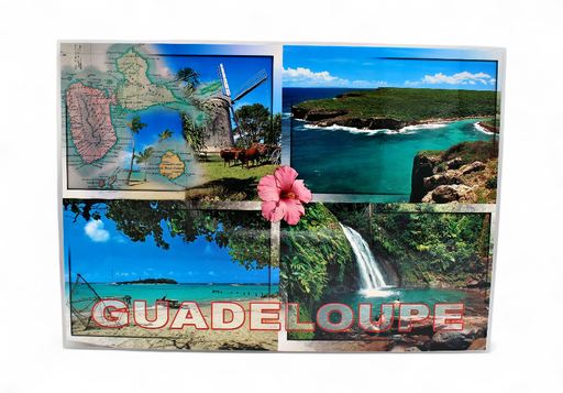 [68017] Set de Table GP Plage + Cocotiers / 4 Photos STG47