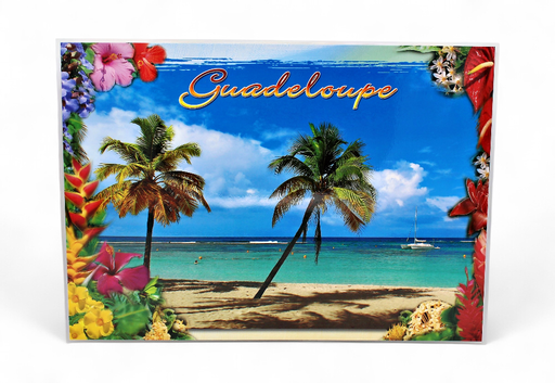 [68021] Set de Table GP Plage 4 Cocotiers / 4 Photos Moulin STG51