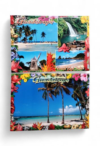 [68021] Set de Table GP Plage 4 Cocotiers / 4 Photos Moulin STG51