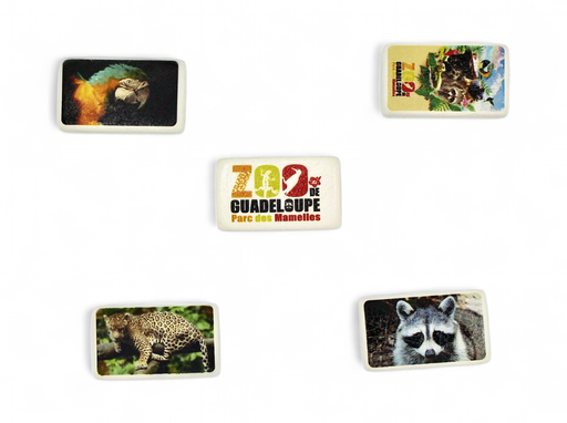 [69016] Gomme Set De 5 PDM