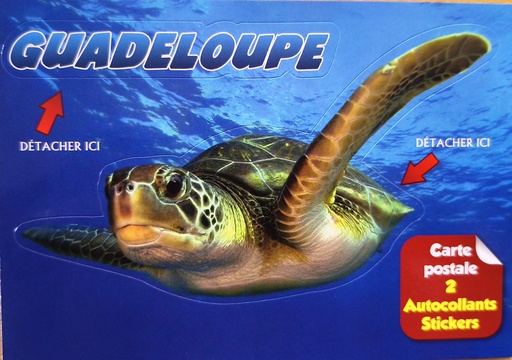 [64318] Cp 10x15 GP Sticker Tortue Marine 