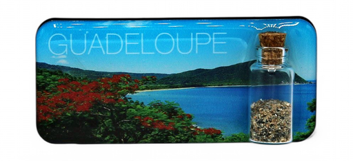 [15187] Magnet Epoxy Rectangle Avec Bouteille Grande Anse GP