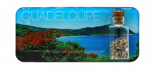 [15191] Magnet Epoxy Rectangle Avec Bouteille Flamboyant GP