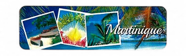 [15200] Magnet Epoxy Long Multivue 3 Photos Yoles, Arbre Du Voyageur, Diamant MQ