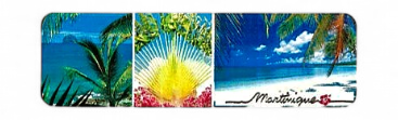 [15201] Magnet Epoxy Long Multivue 3 Photos Diamant, Arbre Du Voyageur, Salines MQ