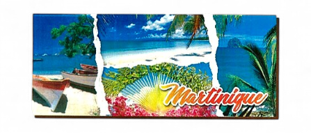 [15204] Magnet Bois Long Multivue Yoles, Plages, Diamant MQ