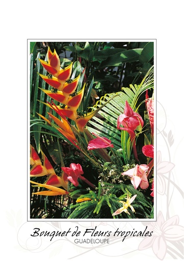 [64324] CP 10X15 GP BG5