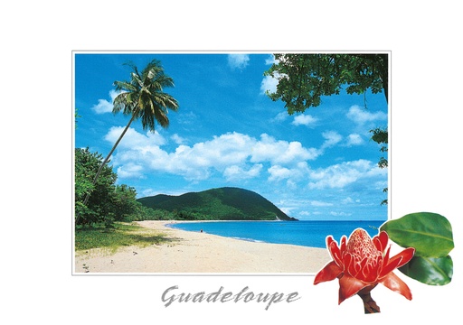 [64325] CP 10X15 GP BG8