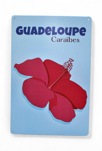 [45120] Affiche Métal 20X30 - Hibiscus