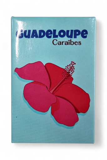 [15245] Magnet rectangle - Illustration Hibiscus