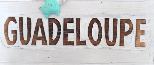 [45122] Panneaux en bois 30 Cm Blanc écriture Sculpté