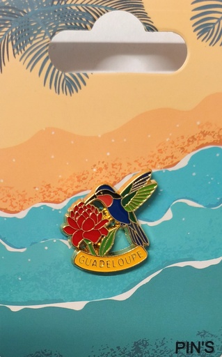 [44036] Pin's Colibri