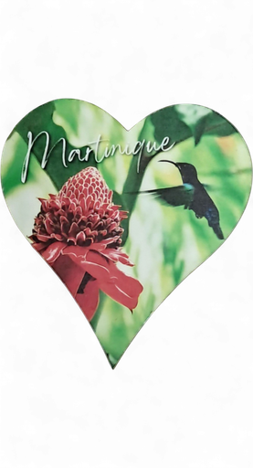 [15346] Magnet MDF Cœur - Rose de Porcelaine et Colibri