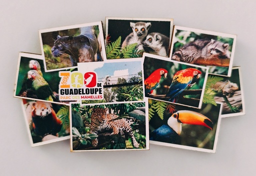 [15399] Magnet MDF - Multivue PDM