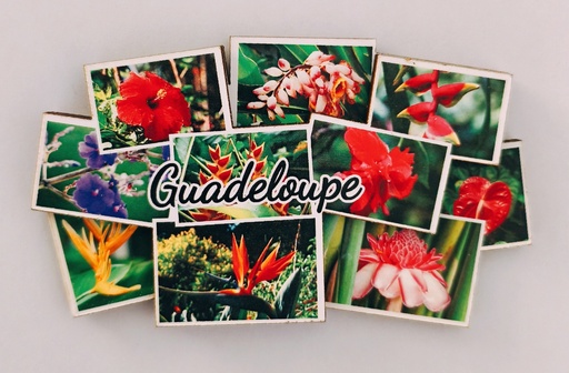 [15402] Magnet MDF - Multivue Thème Fleur