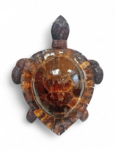 [46059] Tortue en coco de 40 cm