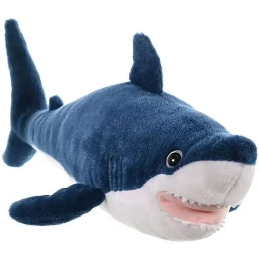 [53308] CK Mako Shark