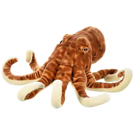 [53310] CK Octopus 